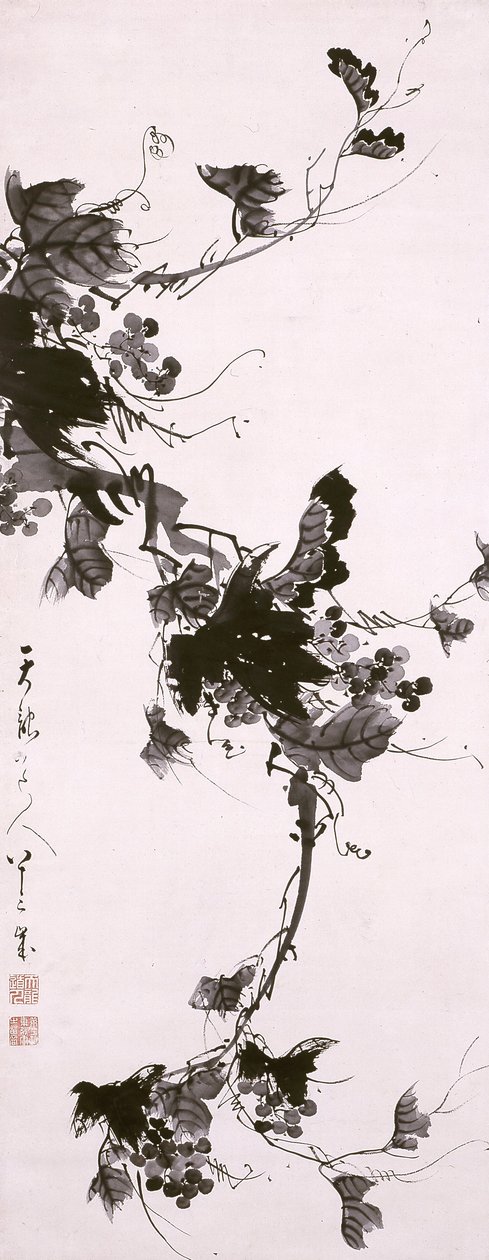 جريبفاين بواسطة تينري؟ د جين