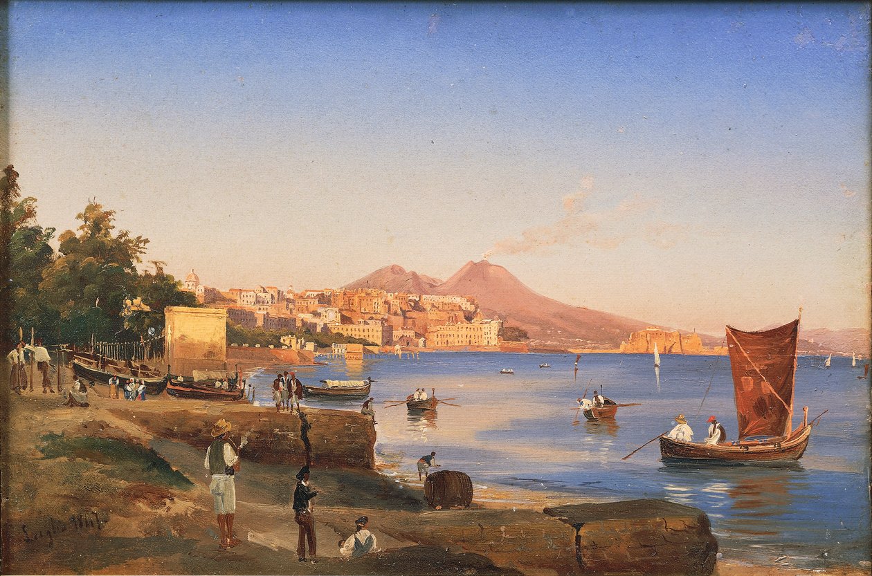 Naples seen from Mergellina (oil on canvas) بواسطة تيودورو دوكليري