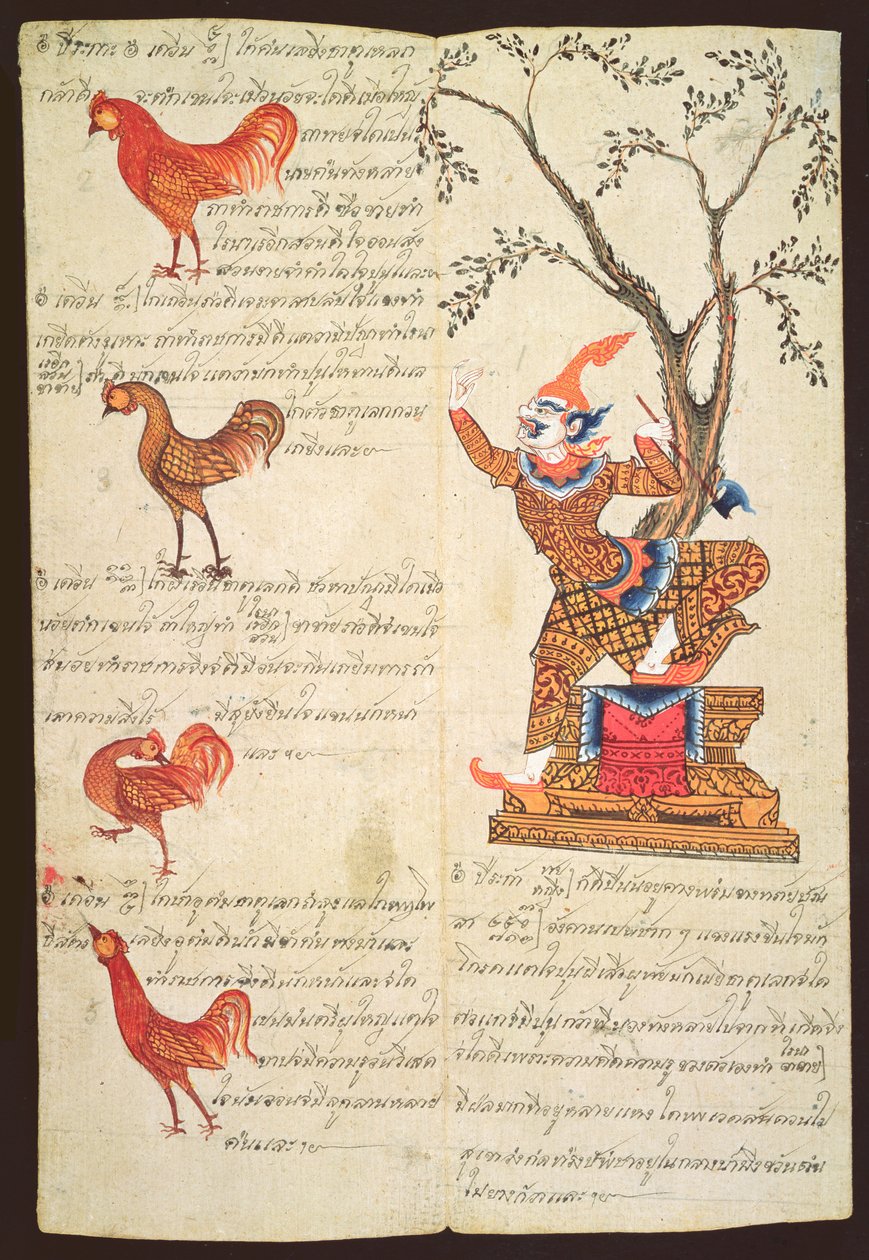 CBL Thi 1302 صفحتان توضحان سنة الكوكتيل ، من دليل الكهانة ، c.1840 (قلم وحبر وغواش على ورق خوي) بواسطة المدرسة التايلاندية