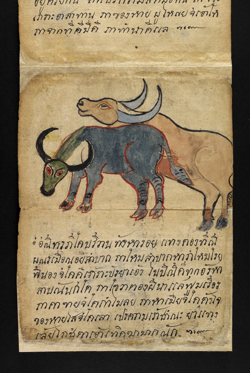 أو. 16482، f.15 "ساترا"  عن العرافة والنصائح من أجل حياة سعيدة وصحية (كتاب طي الورق) بواسطة المدرسة التايلاندية