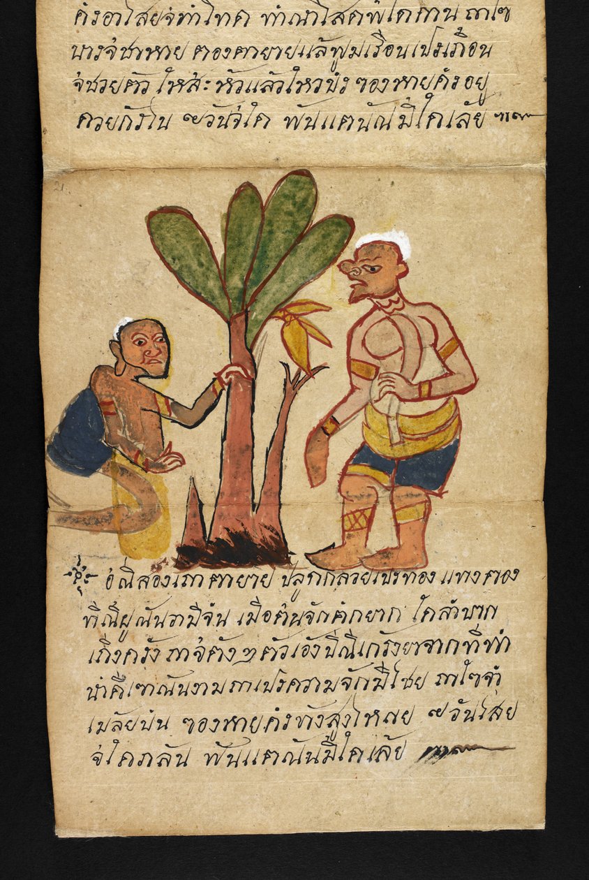 أو. 16482، f.21 "ساترا"  عن العرافة والنصائح من أجل حياة سعيدة وصحية (كتاب طي الورق) بواسطة المدرسة التايلاندية