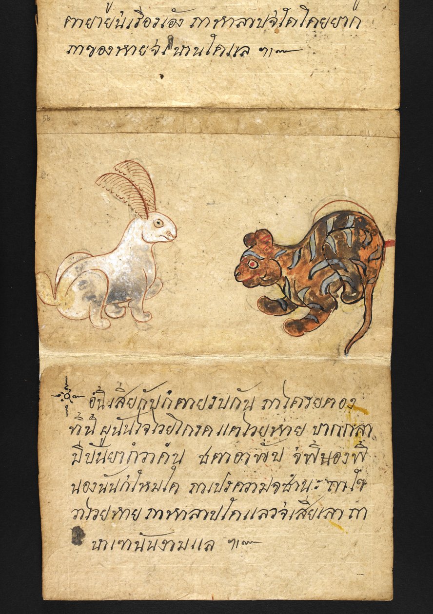 أو. 16482، f.56 "ساترا"  عن العرافة والنصائح من أجل حياة سعيدة وصحية (كتاب طي الورق) بواسطة المدرسة التايلاندية