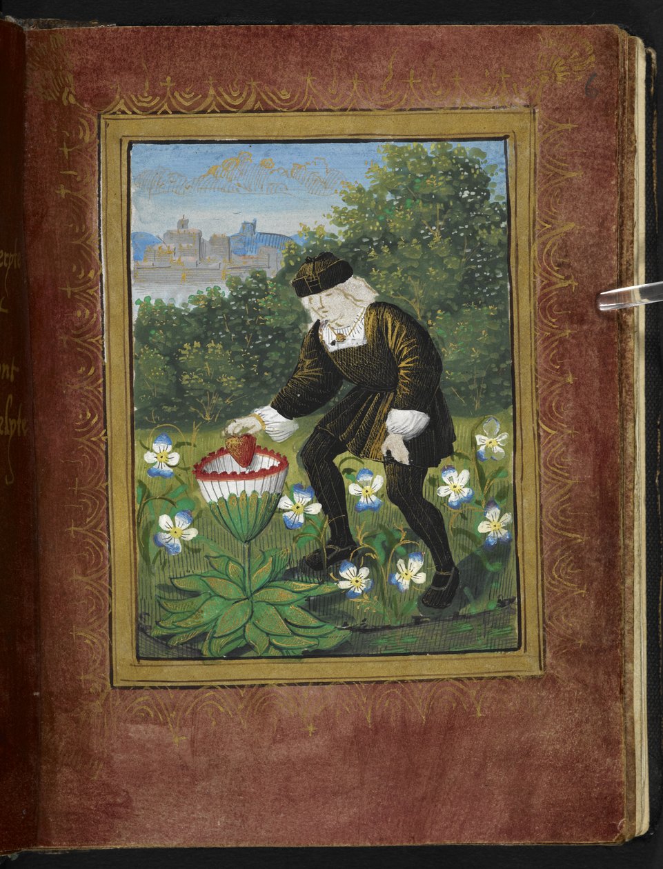 Stowe 955 f.6r Miniature of Pierre Sala يُسقط "قلبه" في مرغريت ، صورة مصغرة من "Petit Livre d