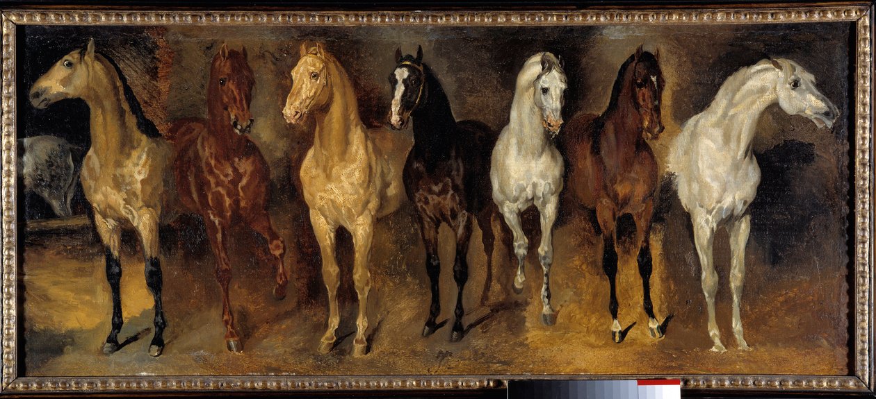 الصدور سبعة خيول من الأمام. لوحة لثيودور جيريكولت (1791-1824) القرن التاسع عشر. 0،39x0،94 م مجموعة خاصة - صدور سبعة خيول (منظر أمامي). لوحة لثيودور جيريكولت (1791-1824) بواسطة ثيودور جيريكولت