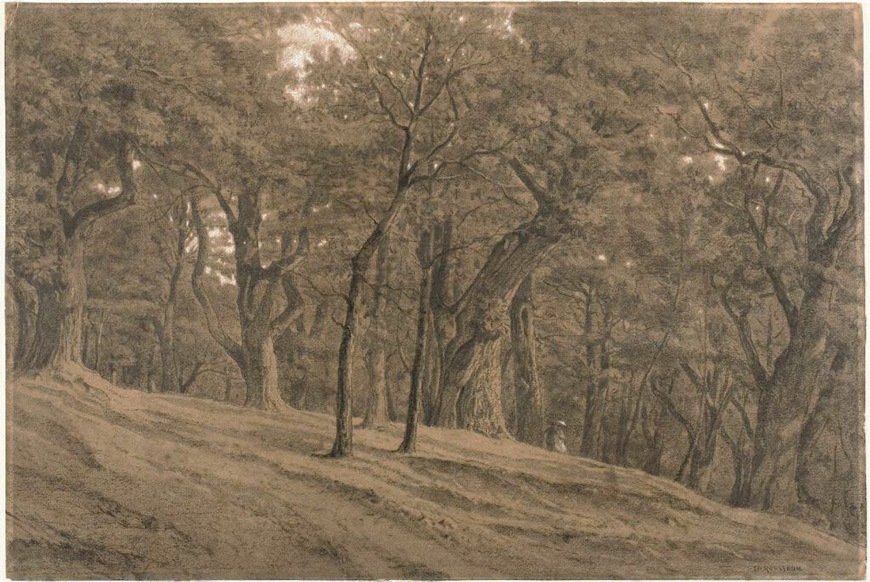  بواسطة ثيودور روسو