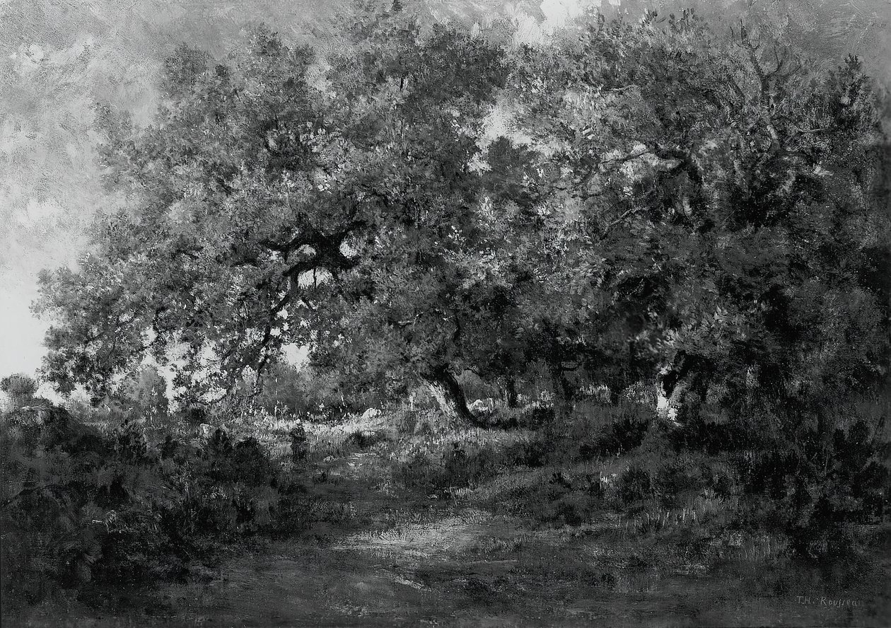 المناظر الطبيعية ، ج. 1860. بواسطة ثيودور روسو