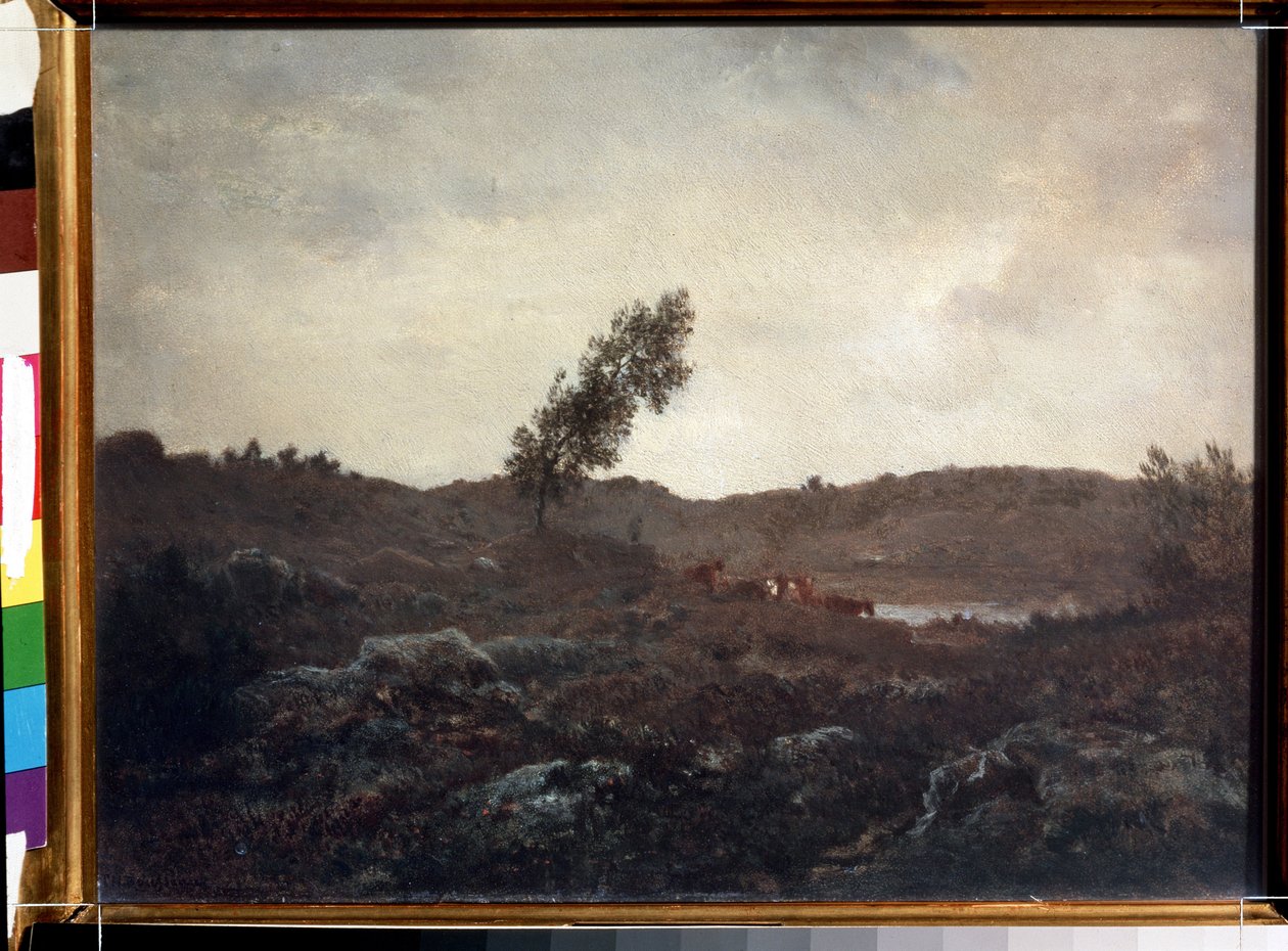 منظر لباربيزون (منظر لباربيزون). لوحة لثيودور روسو (1812-1867). زيت على خشب ، ٢٤ × ٣٢ سم ، أواخر عام ١٨٤٠. المدرسة الفرنسية في باربيزون. متحف بوشكين للفنون الجميلة ، موسكو. بواسطة ثيودور روسو