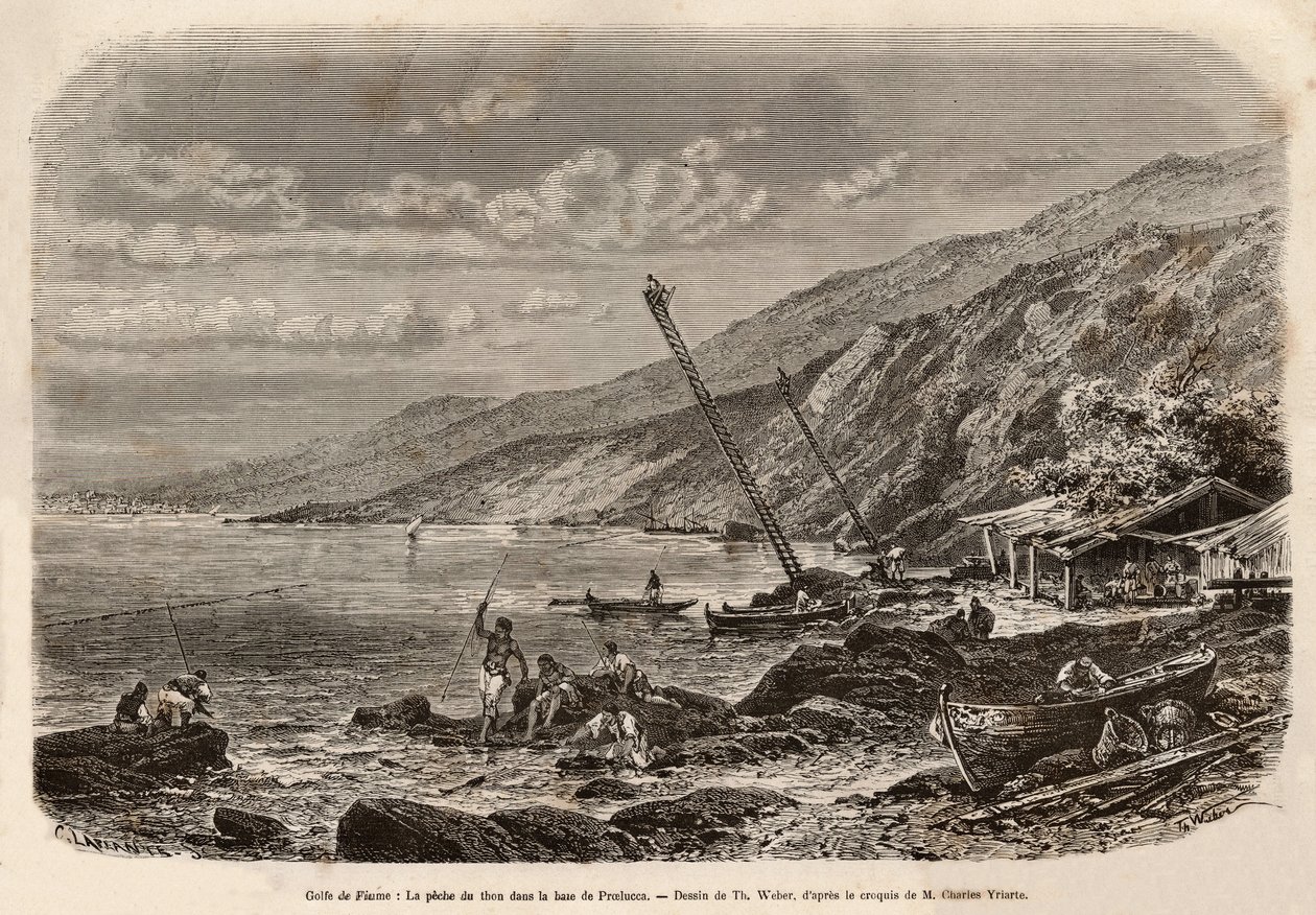 صيد سمك التونة في خليج Proelucca (خليج Fiume أو Rijeka ، Istria) ، مراقبة ضفاف الأسماك جاثمة على نطاقات عالية وإخبار الصيادين بفريقهم أو رمي شباكهم على طول الساحل. نقش بعد رسم تي ويبر لتوضيح قصة عن دال بواسطة ثيودور ويبر