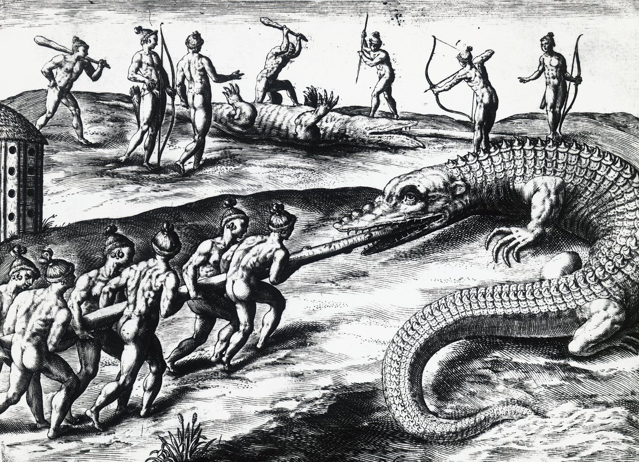 صيد التماسيح في فلوريدا ، من اللوحة التي رسمها جاك لو موين دي مورغ (حوالي 1533 قبل 1588) ، لثيودور دي بري (1528-1598). نقش بواسطة تيودور دي بري
