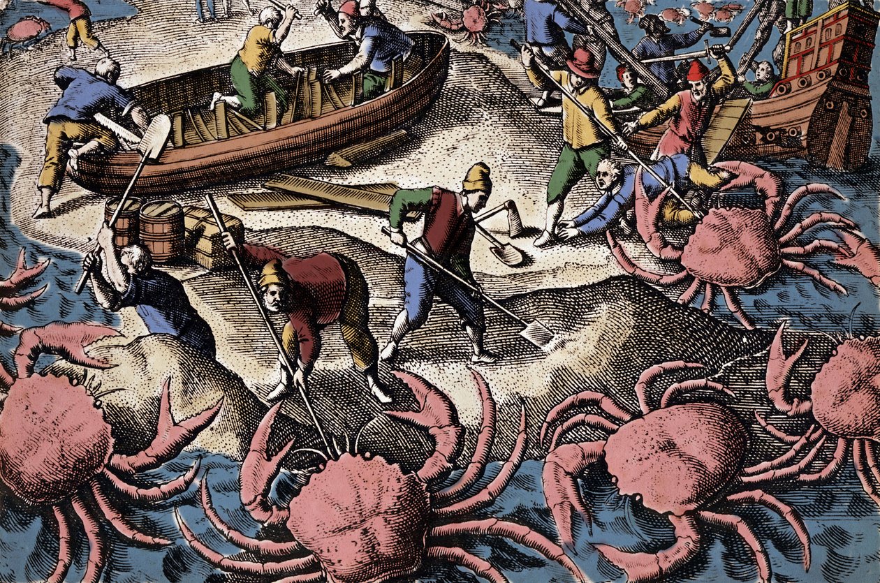 الملاحون الأوروبيون يقاتلون سرطان البحر الكبير. نقش من "Petities voyages aux Indes Orientales" لثيودور دي بري بواسطة تيودور دي بري