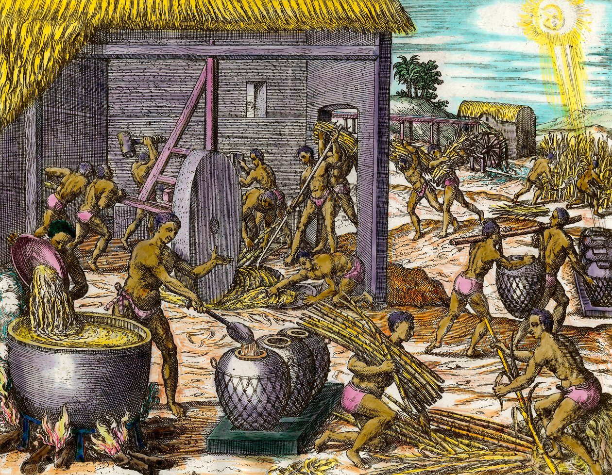 تاريخ أمريكا: جمع قصب السكر وصنع السكر. نقش لثيودور دي بري (1528-1598) مجموعة خاصة من القرن السادس عشر بواسطة تيودور دي بري