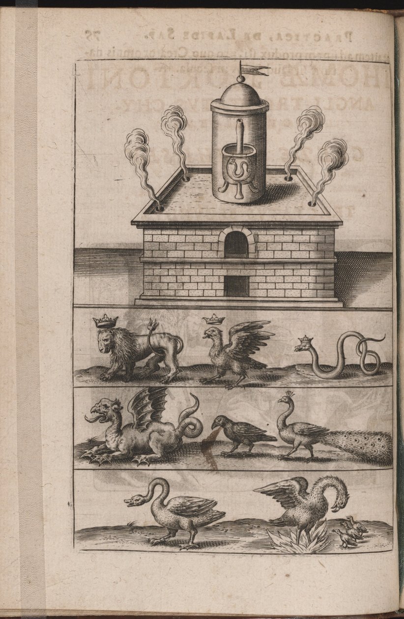 رسم إيضاحي لـ Tripvs avrevs ، أي الأكثر تحديدًا .. الجزء الكيميائيون ، 1618 بواسطة تيودور دي بري