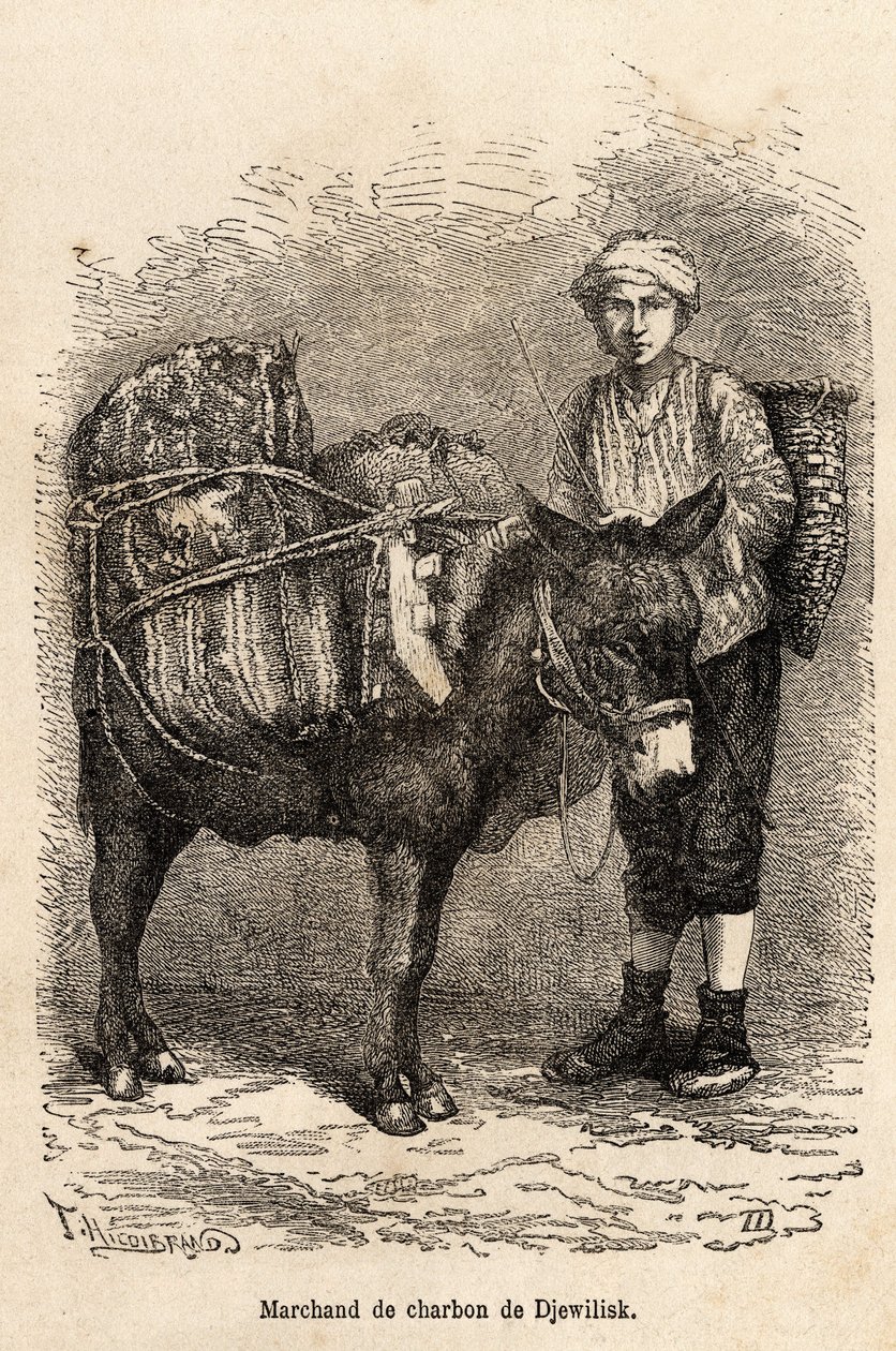 تاجر فحم ، مع حماره ، في دجويليسك (شمال الأناضول) ، نقش بعد رسم للراوي ، يوضح رحلة في لازيستان وأرمينيا ، عام 1869 ، لثيوفيل ديرول ، نُشر في "" Le tour du monde "" 1875 ، حرره إدوارد شارتون بواسطة ثيوفيل لويس ديرول
