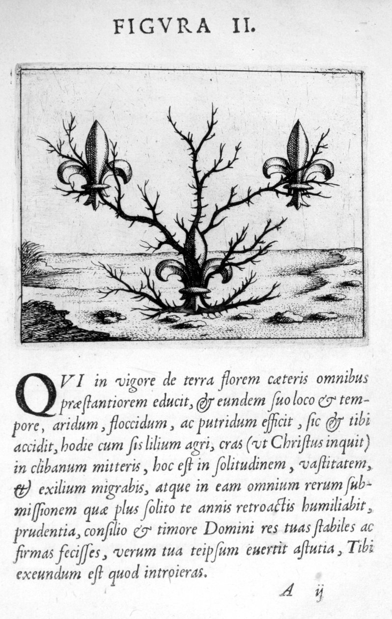 الرقم الوهمي 2 من Prognosticate Eximii Doctor Paracelsus ، 1536. بواسطة ثيوفراستوس بومباستوس من هوهنهايم باراسيلسوس