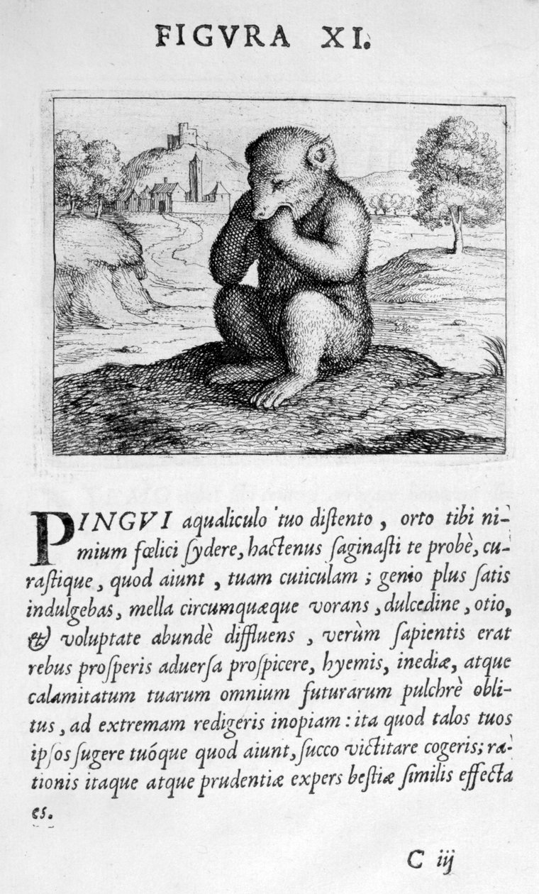 الرقم الوهمي 11 من Prognosticate Eximii Doctor Paracelsus ، 1536. بواسطة ثيوفراستوس بومباستوس من هوهنهايم باراسيلسوس
