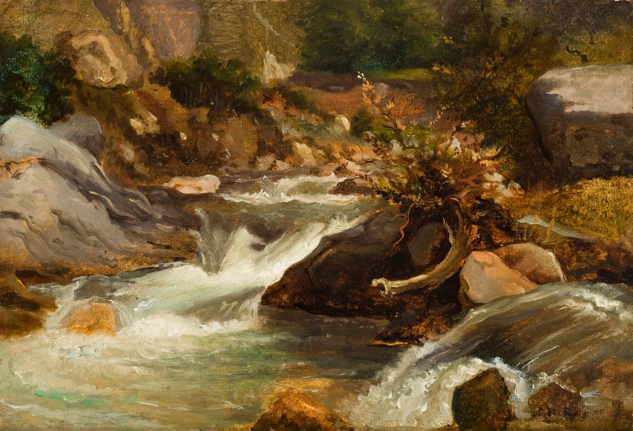 دراسة المناظر الطبيعية (La Source) c.1830 (زيت على ورق مركب على لوحة) بواسطة بيير إتيان ثيودور روسو