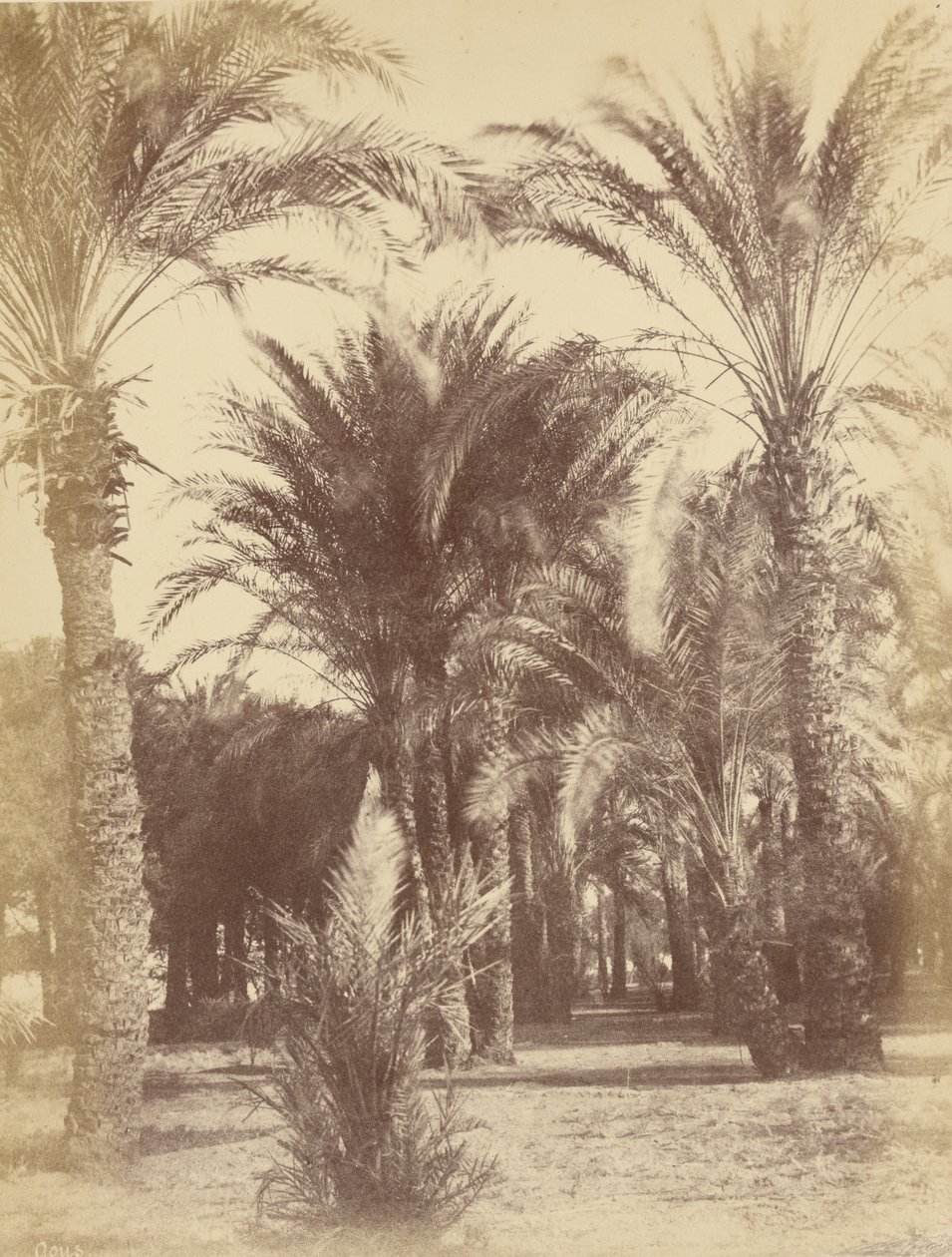  بواسطة Théodule Devéria