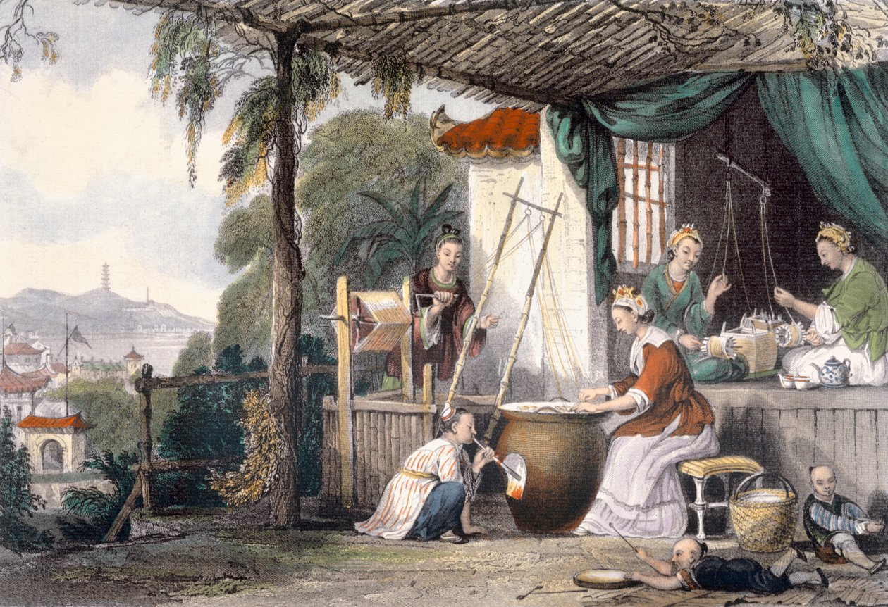 تدمير Chrysalids و Reeling the Cocoon ، من "الصين في سلسلة من المشاهدات" لجورج نيوينهام رايت (c.1790-1877) منقوش بواسطة J. Davies ، 1843 بواسطة توماس ألوم