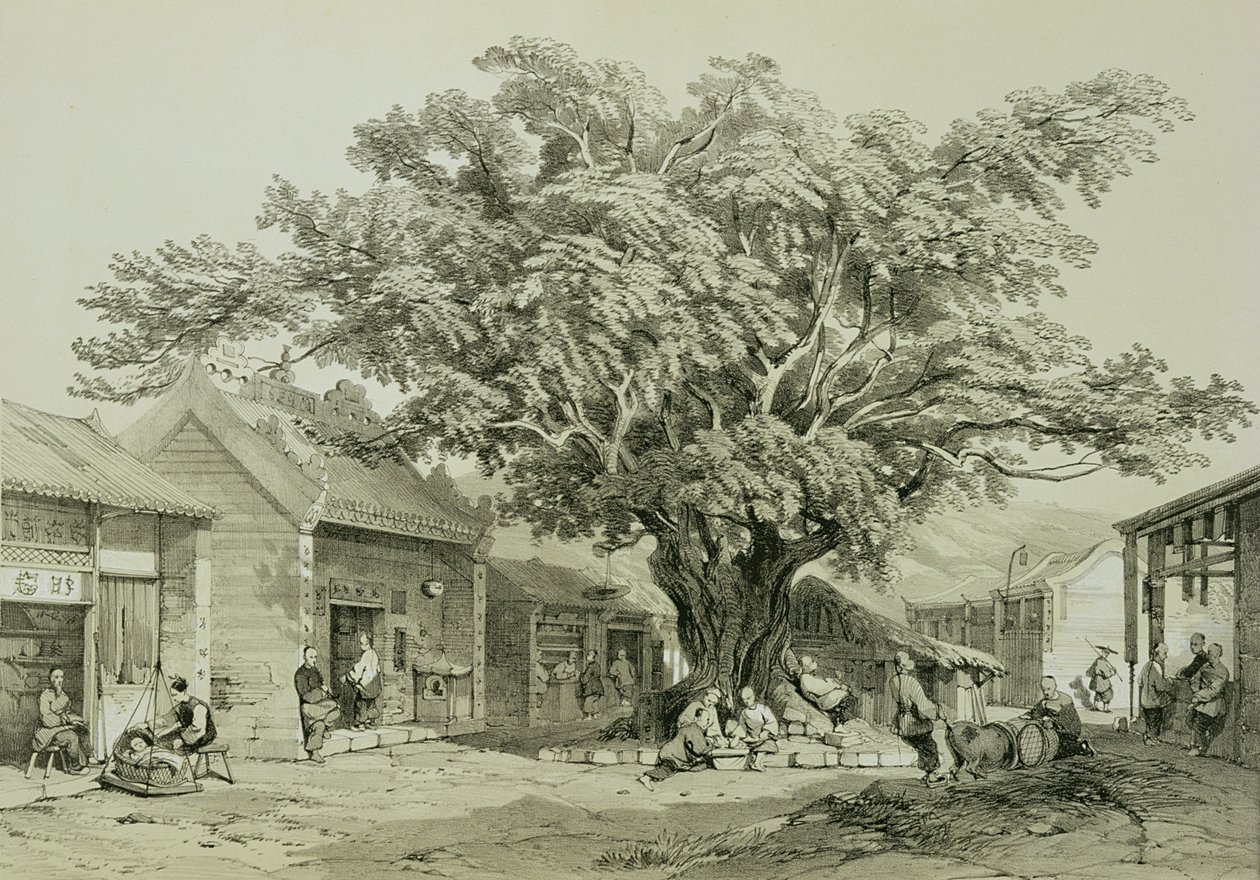 المعبد ، ماكاو ، c.1850 (قلم وحبر ، قلم رصاص ، مرتفع باللون الأبيض على الورق) بواسطة توماس ألوم
