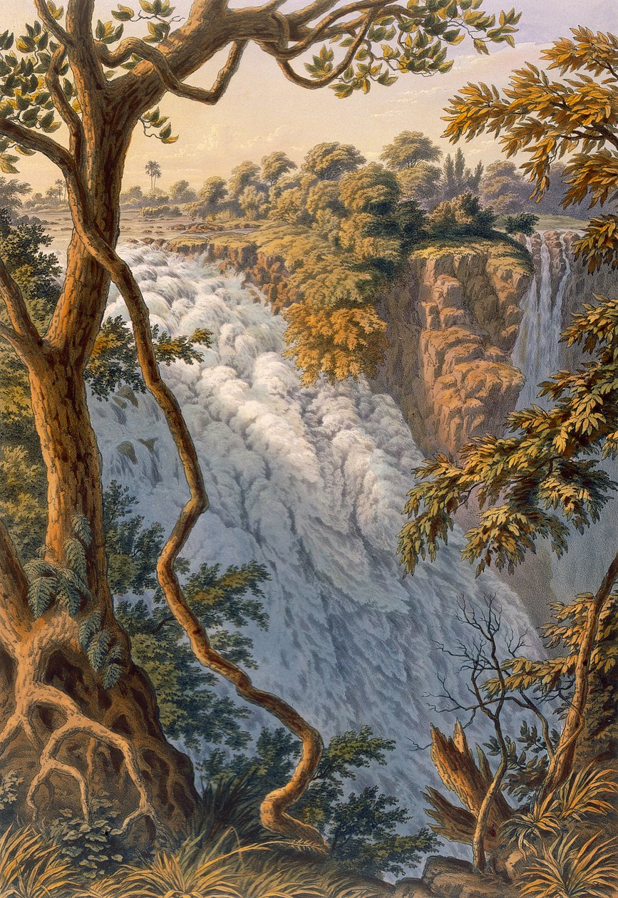 شلالات فيكتوريا: The Leaping Water بواسطة توماس بينز