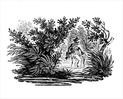 تسجيل النهر ، من أرض الطيور ، ج. 1797 (نقش الخشب) بواسطة توماس بيويك
