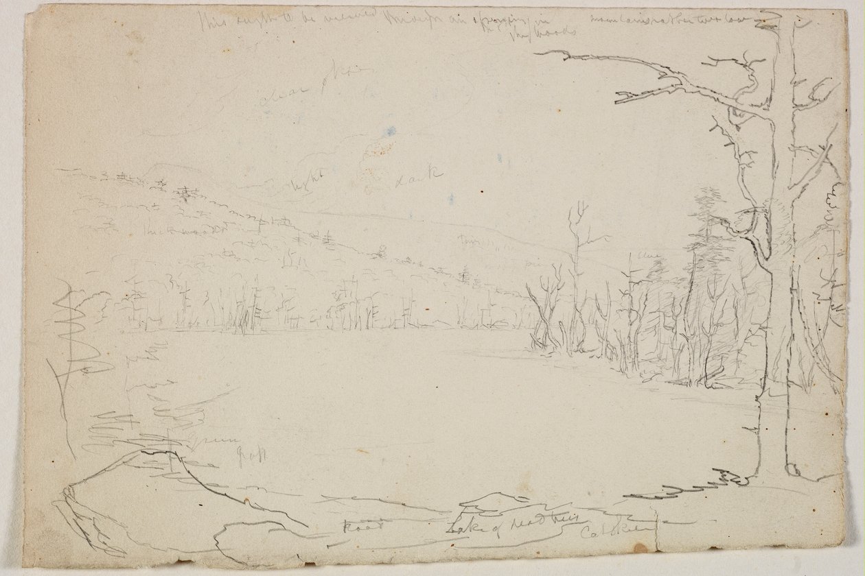 بحيرة الأشجار الميتة ، Catskill ، 1825 (قلم رصاص من الجرافيت على ورق أبيض عاجي) بواسطة توماس كول