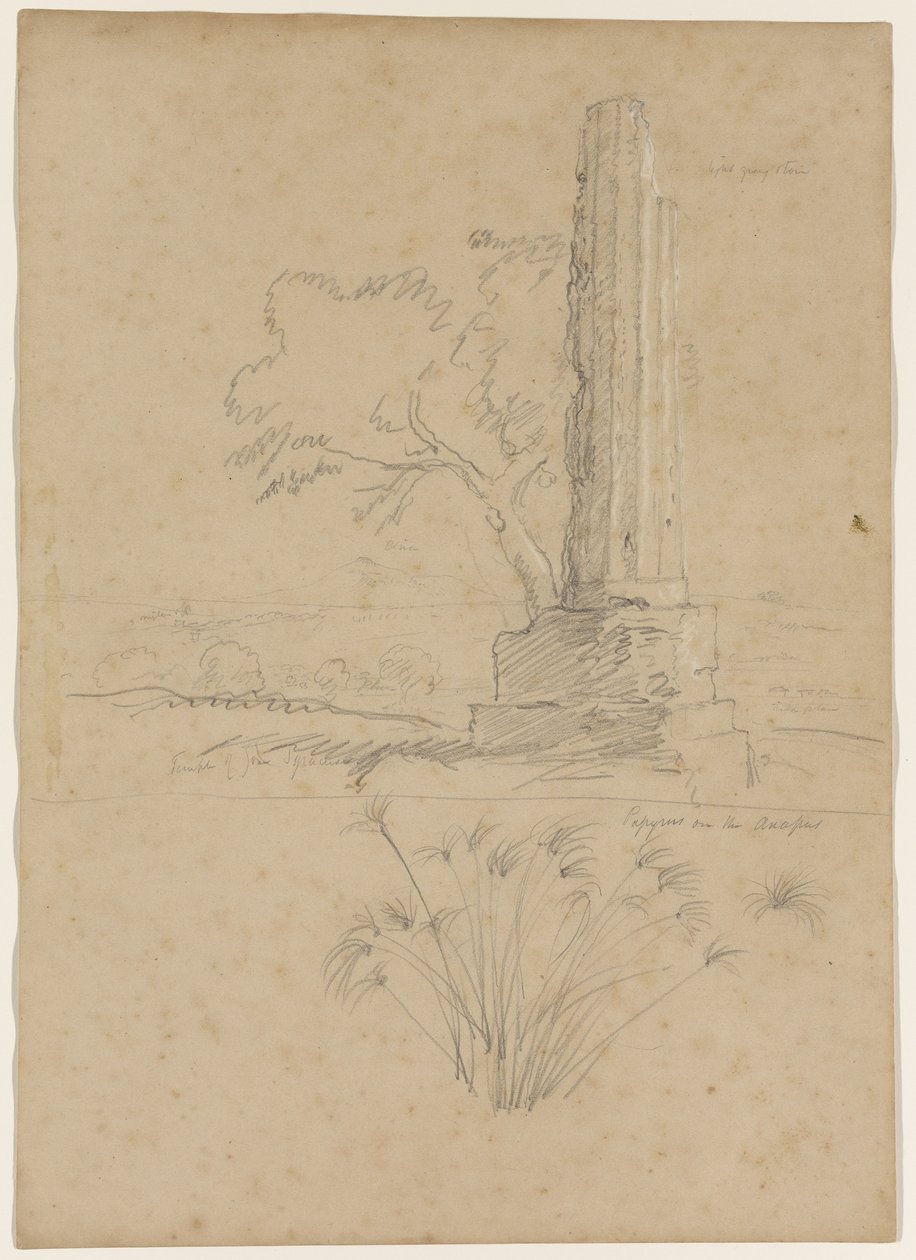 معبد زيوس وبردي على نهر أنابو ، بالقرب من سيراكيوز ، صقلية ، 1842 (قلم رصاص مرتفع مع طباشير أبيض على ورق) بواسطة توماس كول