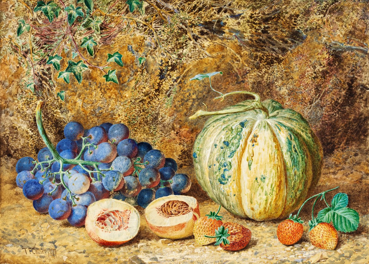 العنب والفراولة 1877 بواسطة توماس كولير