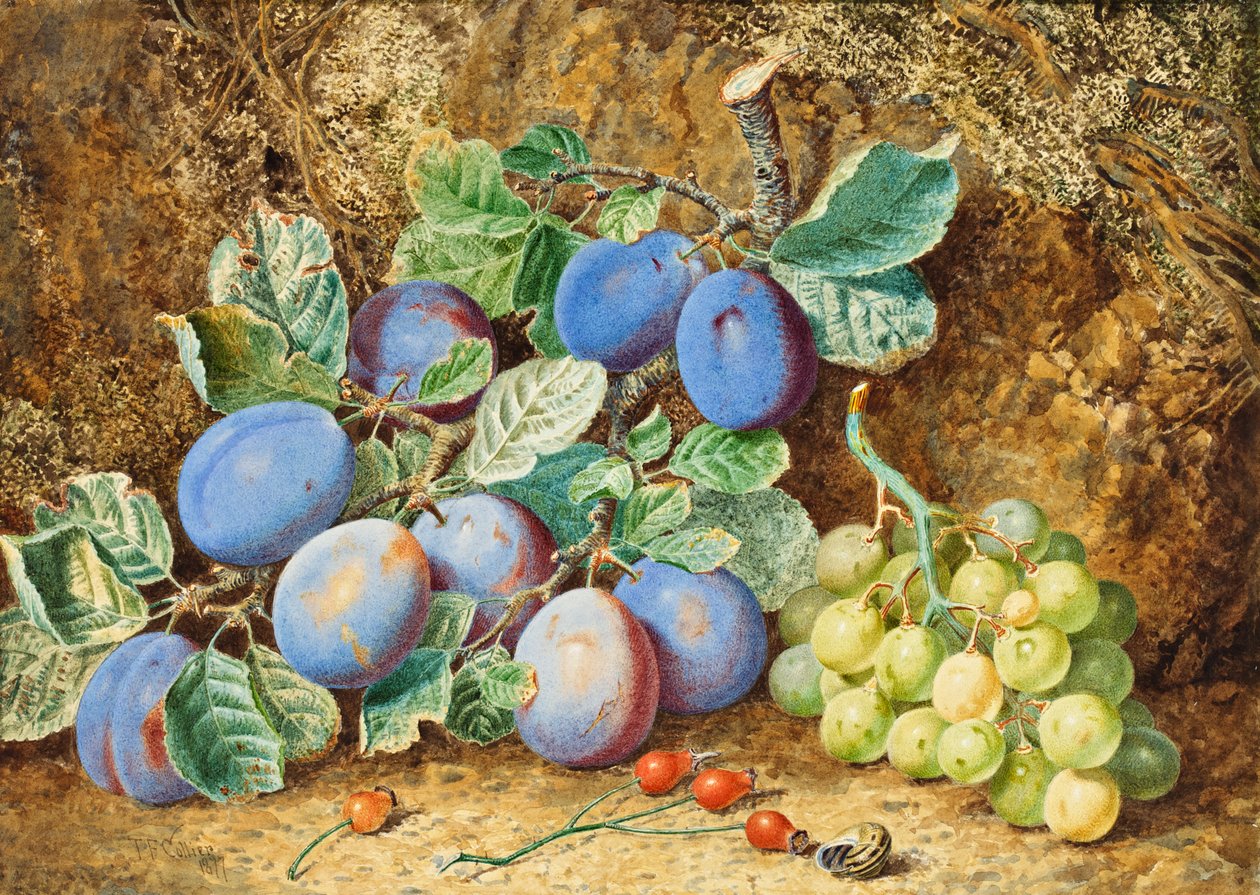 الخوخ والعنب ، 1877 بواسطة توماس كولير