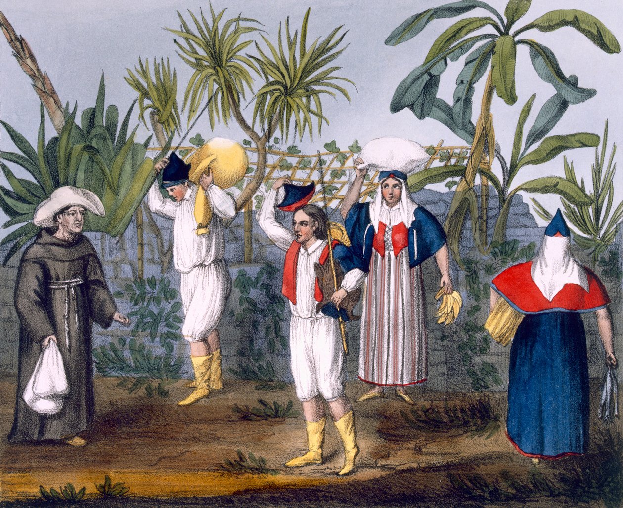 زي غامبيا ، اللوحة رقم 9 من "الرحلات في ماديرا وبورتو سانتو .." ، حانة. جورج ب. ويتاكر ، لندن 1825 بواسطة توماس إدوارد بوديتش