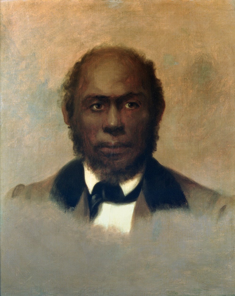 دانيال داشيل وارنر (1815-1880) 1874 بواسطة توماس سولي