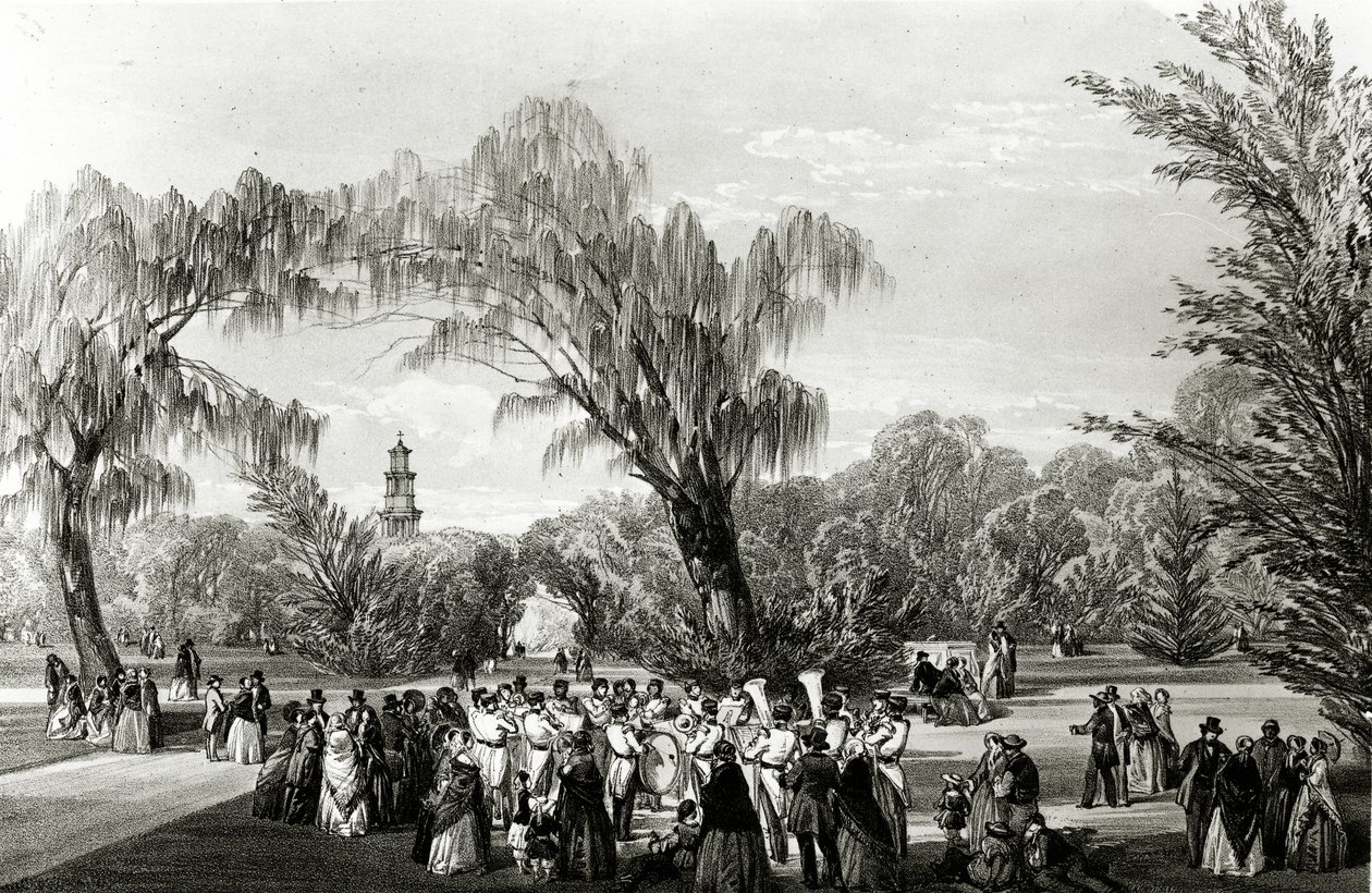 الحدائق النباتية ، كيب تاون ، مطبوع من قبل دبليو سيمبسون ، c.1850s بواسطة توماس ويليام بولر