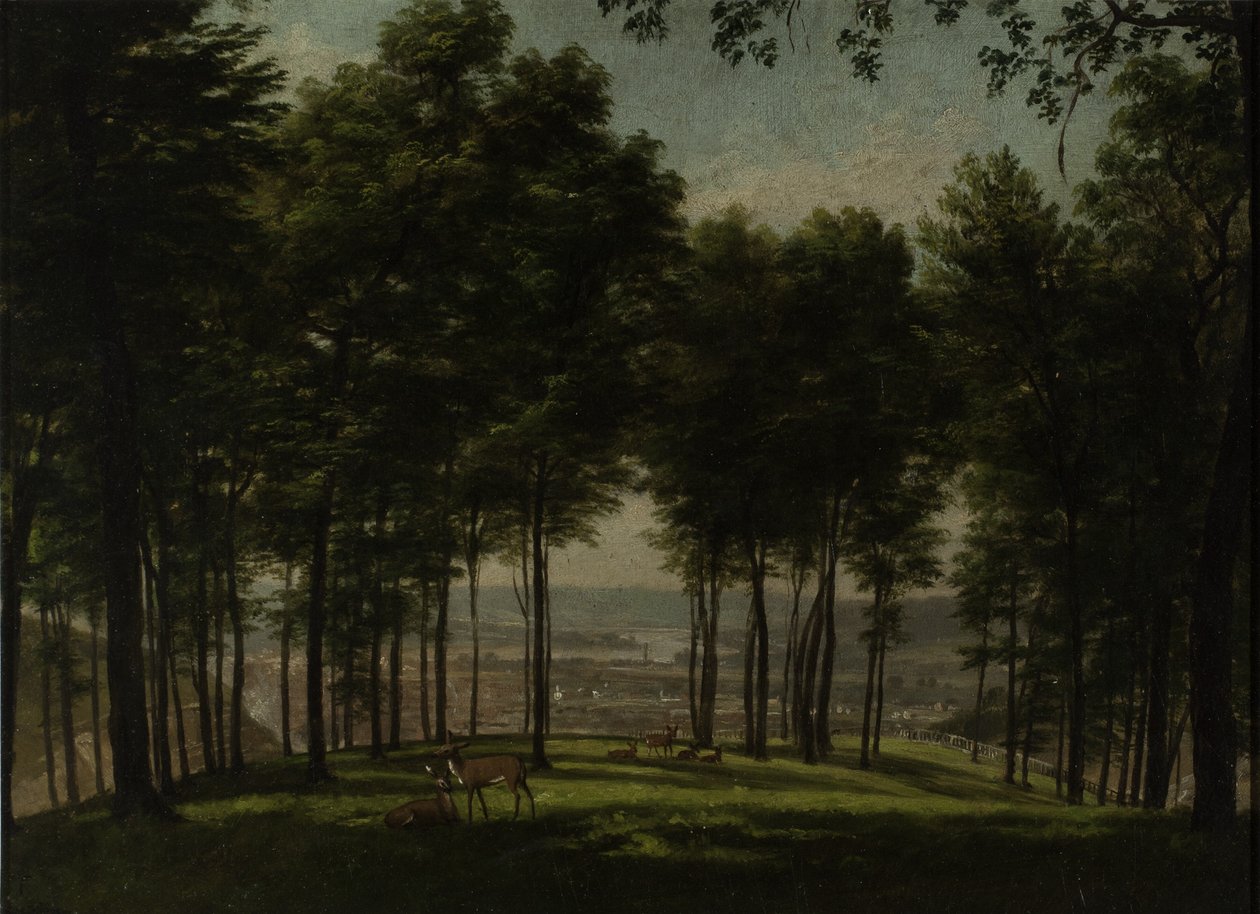 ماونت ستورم بارك ، سينسيناتي ، 1840 (زيت على لوحة الأكاديمية) بواسطة توماس ورثينجتون ويتريدج