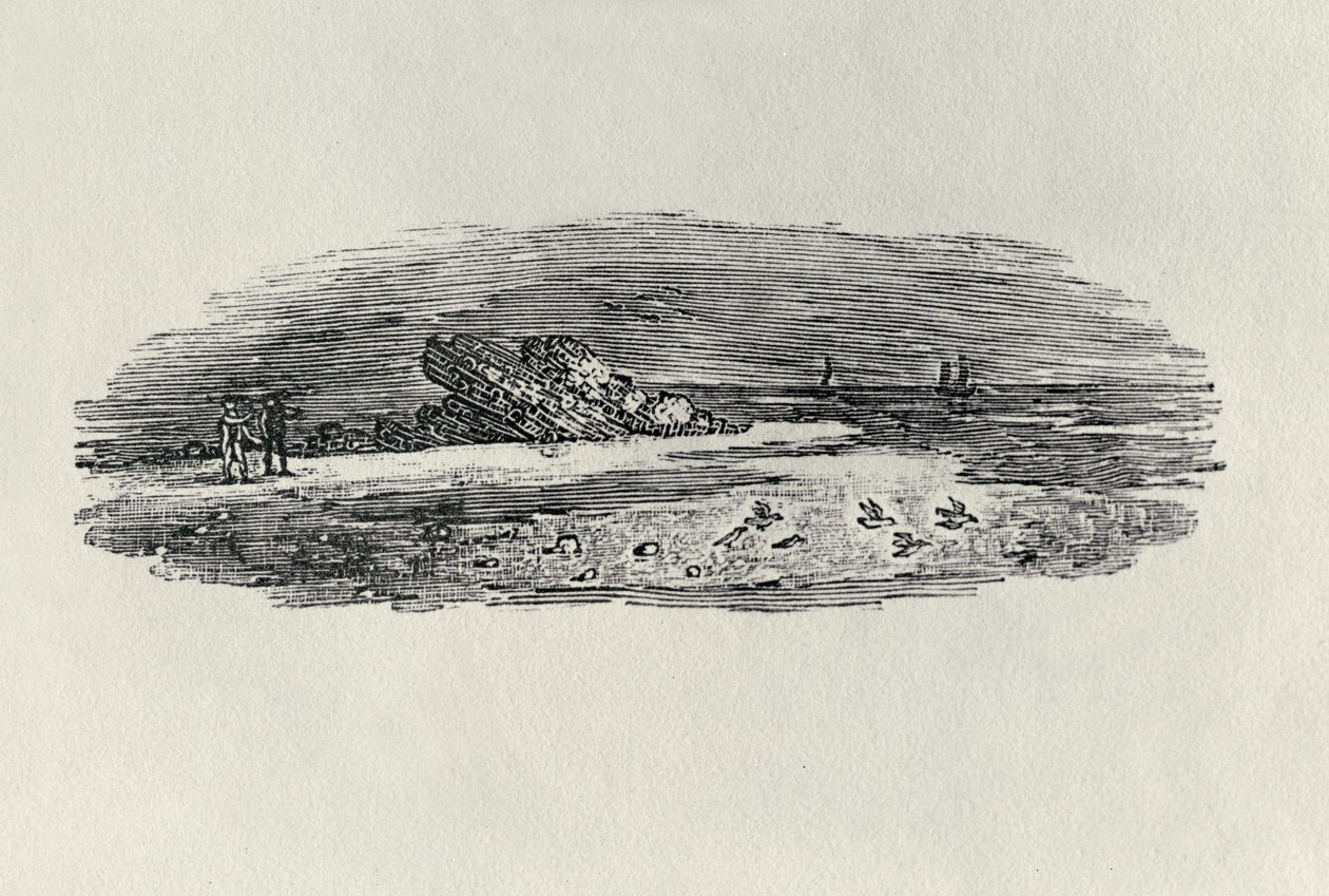 الصخور مع الشحن الساحلي ، ج. 1801 ، من "طيور الماء" ، تم نشره عام 1804 (نقش الخشب) بواسطة توماس بيويك