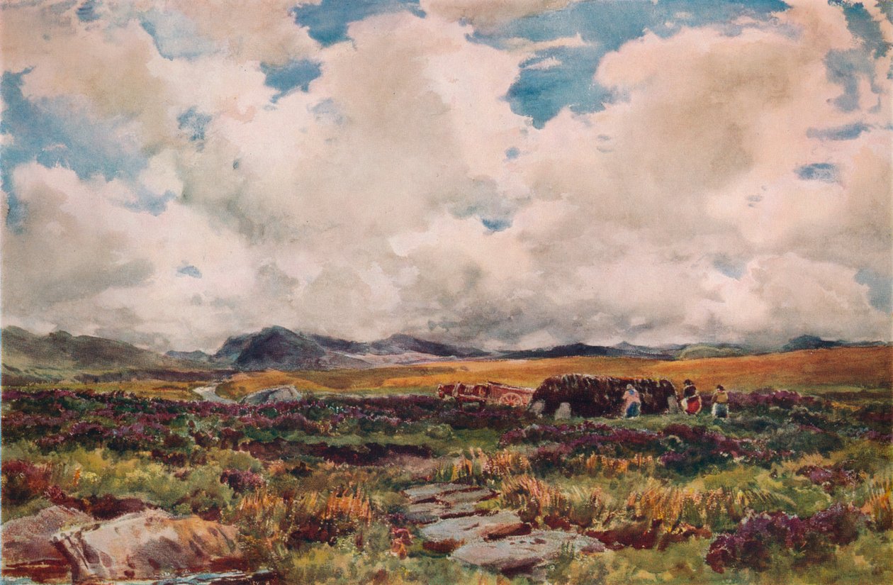 التراص الخث ، Festiniog ، شمال ويلز ، 1881 بواسطة توماس كولير