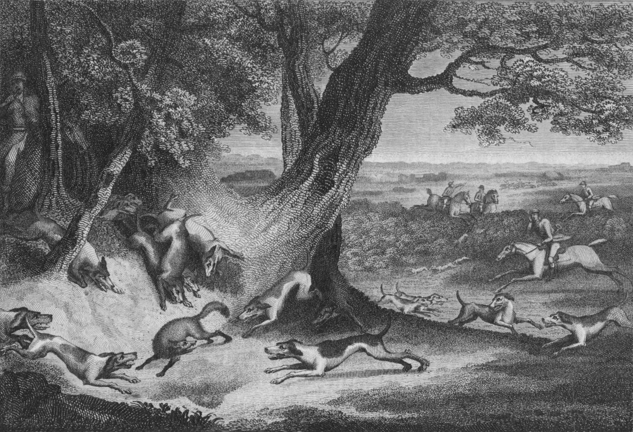 وفاة الثعلب ، 1793. بواسطة توماس كوك
