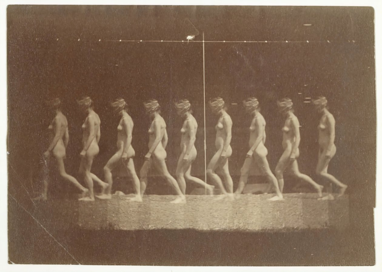 صور عجلة ماري لنموذج مجهول ، 1884. بواسطة توماس إيكنز