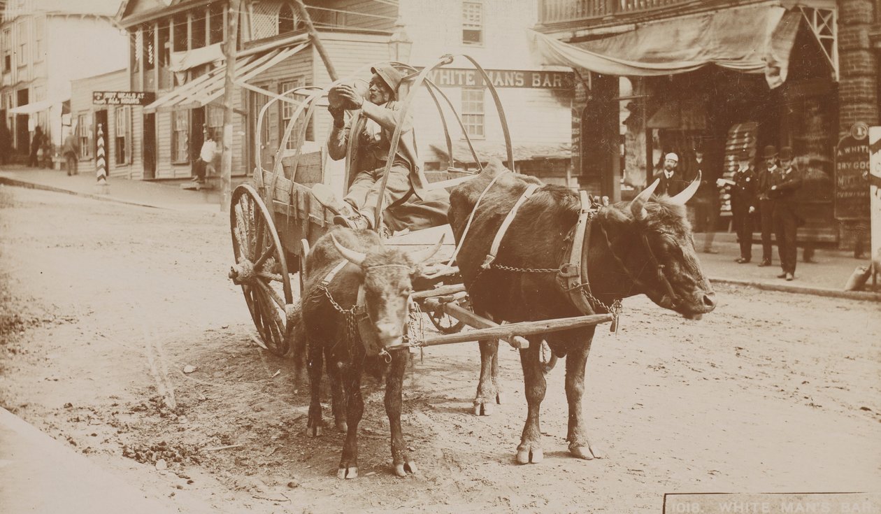 رقم 1018 ، "White Man's Bar" ، 1895-1910. بواسطة توماس إتش ليندسي