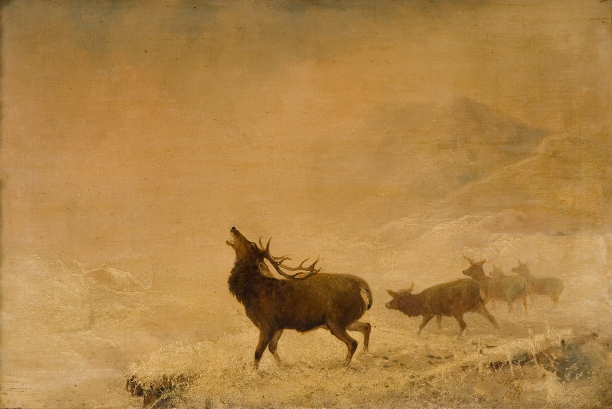 حتى الآن ، 1883 بواسطة توماس هنري جيب