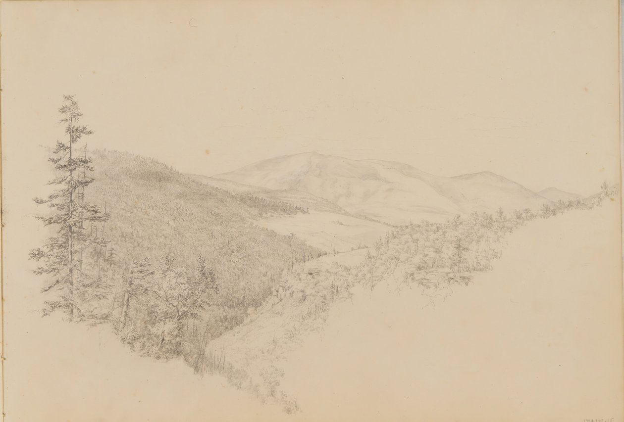 كاوترسكيل القرنفل من كراسة رسم المناظر الطبيعية وموضوعات الحيوانات ، كاليفورنيا. 1860 - 64. بواسطة توماس هيوز هينكلي