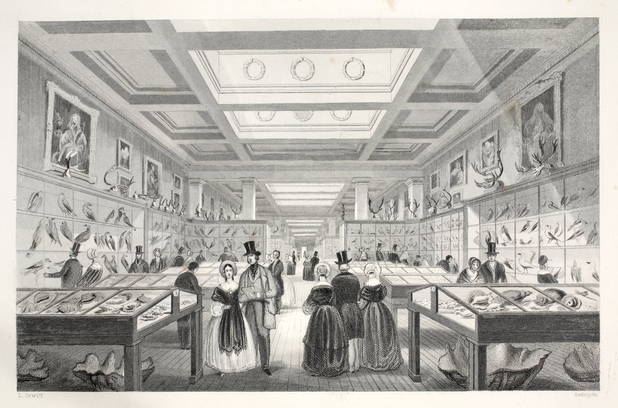 المتحف البريطاني ، معرض علم الحيوان ، من حانة "London Interiors with the Costumes and Ceremonies". جوزيف ميد ، لندن ، 1843 (نقش الفولاذ) بواسطة توماس هوسمر شيبرد