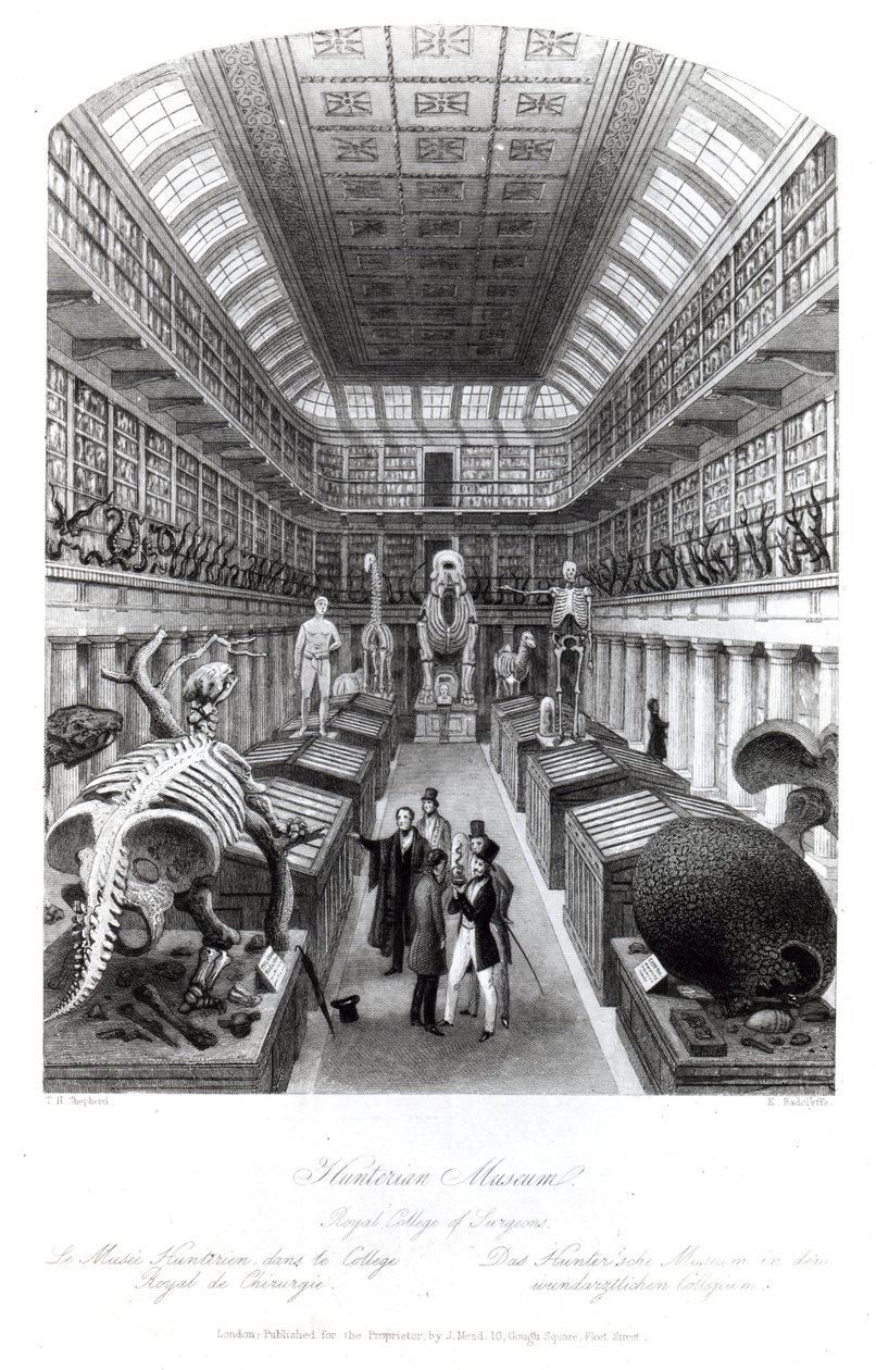 متحف Hunterian ، رسم توضيحي لـ "لندن الداخلية" ، منقوش من قبل إدوارد رادكليف ، 1840 بواسطة توماس هوسمر شيبرد