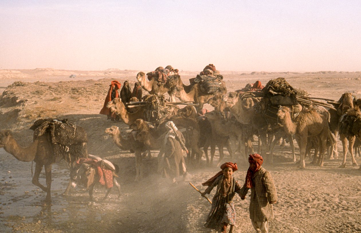  بواسطة توماس جي أبركرومبي
