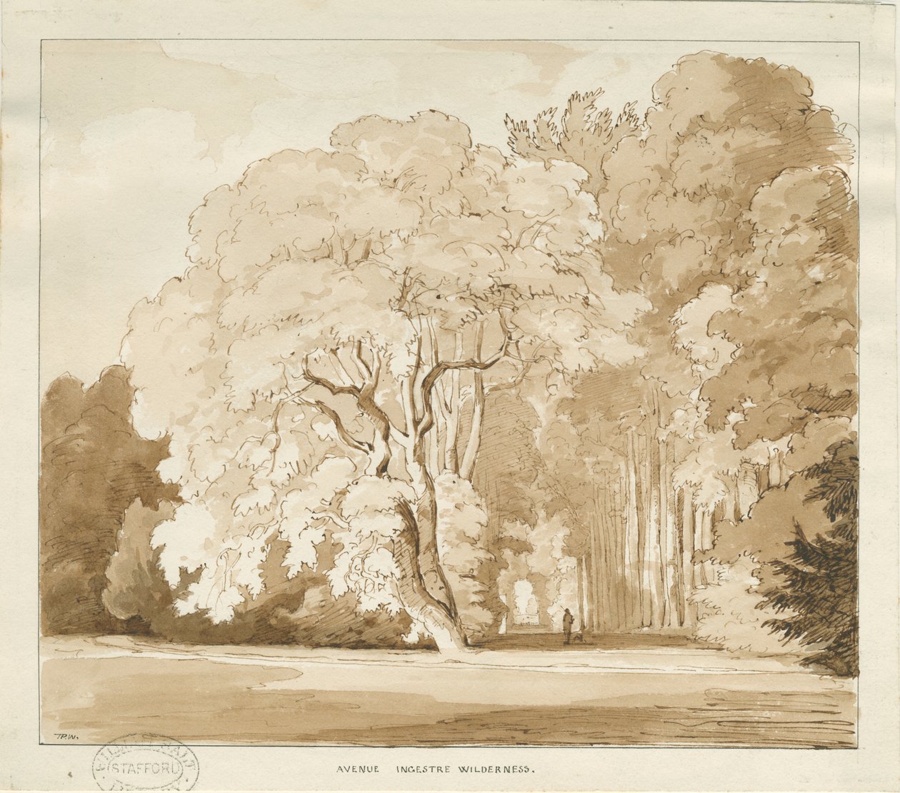 إنجستر - دراسة للأشجار: رسم بني داكن ، بدون تاريخ [؟ 1838] (رسم) بواسطة توماس بيبلو وود
