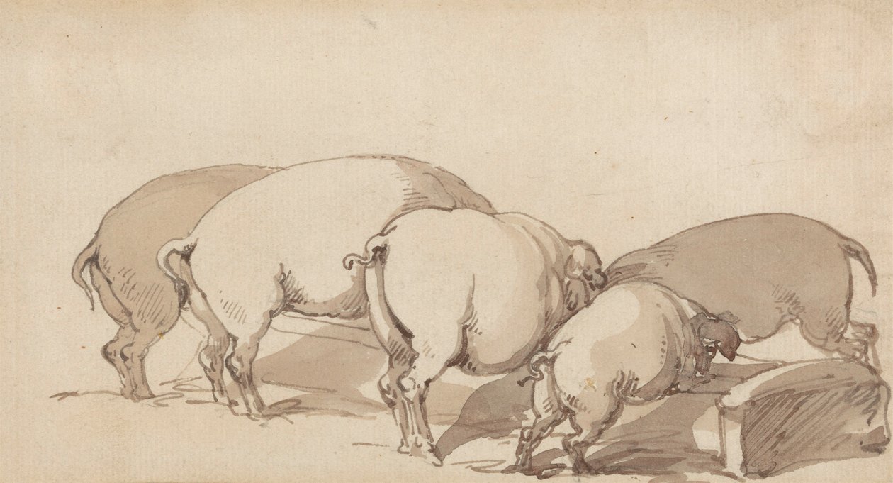 خنازير في حوض ، حوالي عام 1790 (جرافيت بقلم حبر وحبر وغسل بني على ورق) بواسطة توماس رولاندسون
