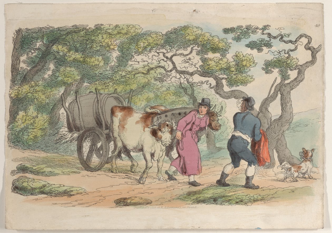 اللوحة 40 ، من العالم المصغر ، 1816 ، 1816. بواسطة توماس رولاندسون