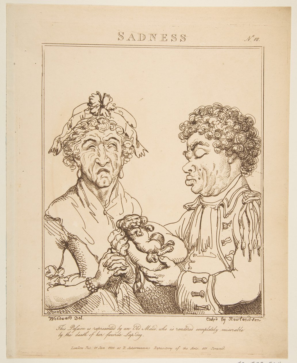 حزن Le Brun Travched ، أو كاريكاتير العواطف ، 21 يناير 1800. بواسطة توماس رولاندسون