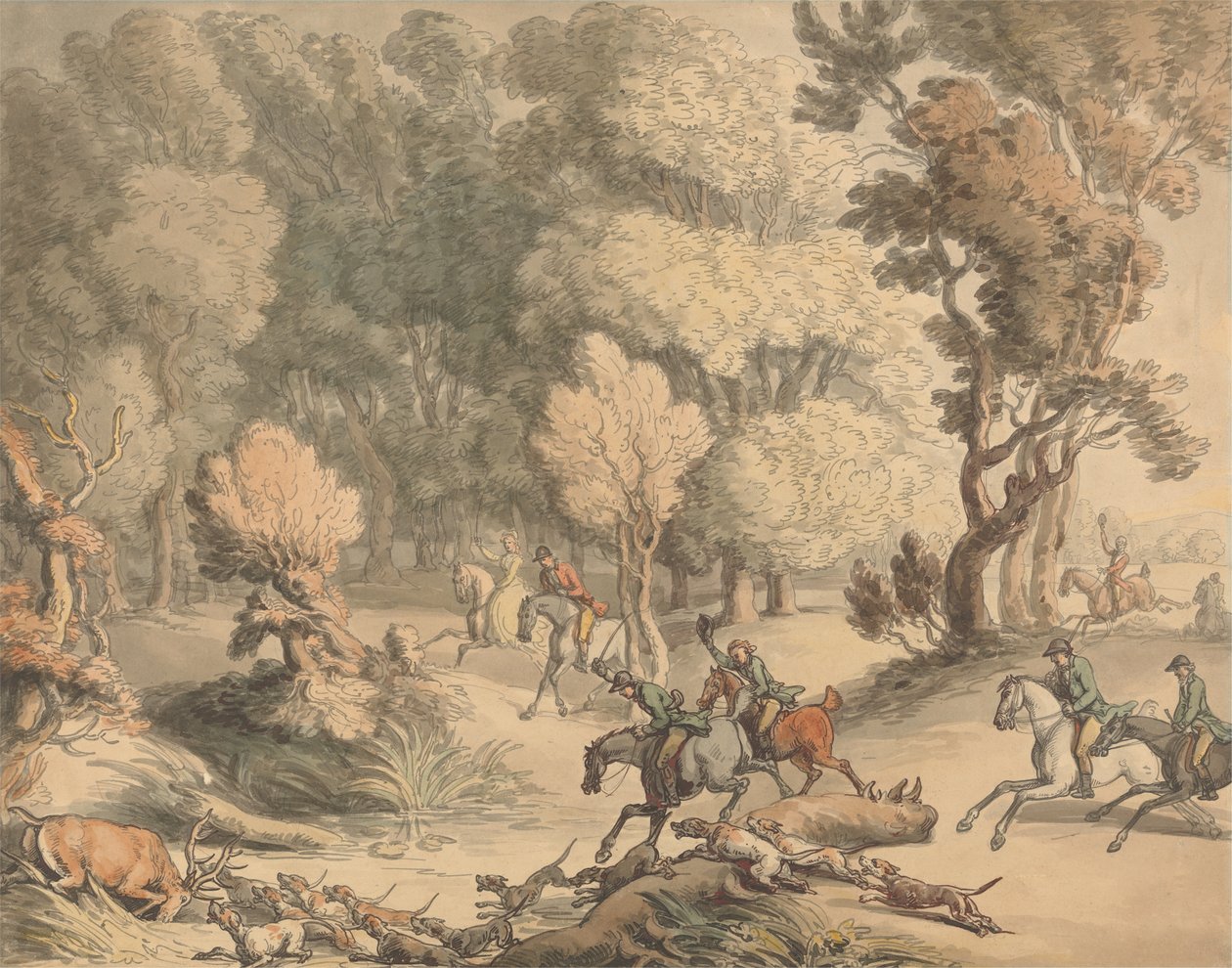Stag at Bay - مشهد بالقرب من Taplow ، Berks ، حوالي 1795-1801 (قلم ، حبر ، ألوان مائية مع لمسات من لون الجسم على الورق) بواسطة توماس رولاندسون