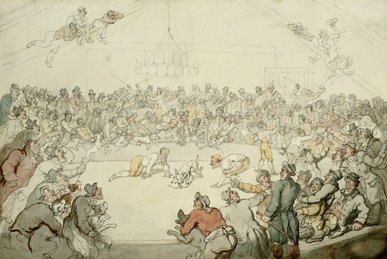 وستمنستر بيت ، 1798 بواسطة توماس رولاندسون