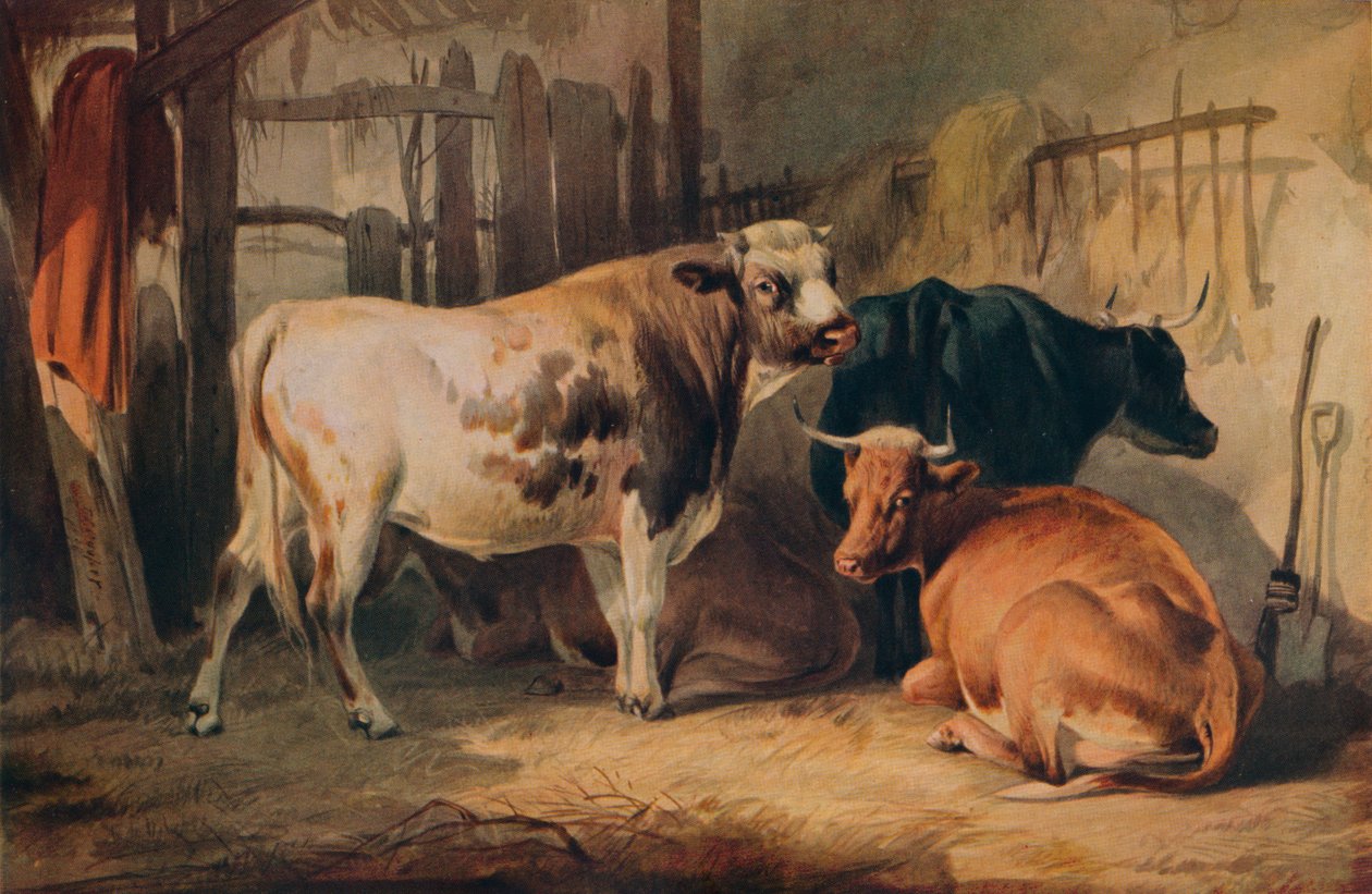 ثور وثلاث بقرات في اسطبل ، c1856 بواسطة توماس سيدني كوبر